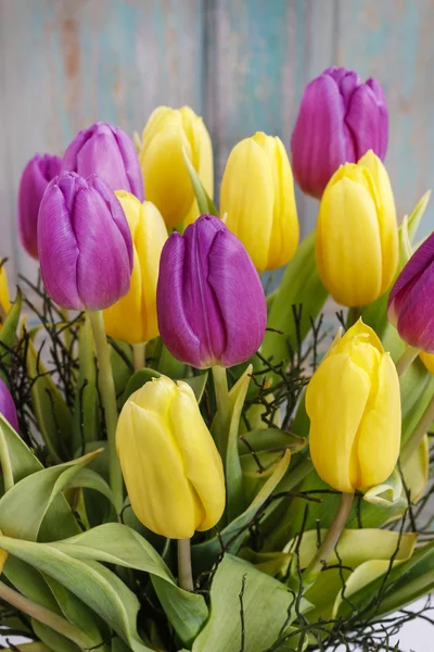 Žluté a fialové tulipány — Stock fotografie