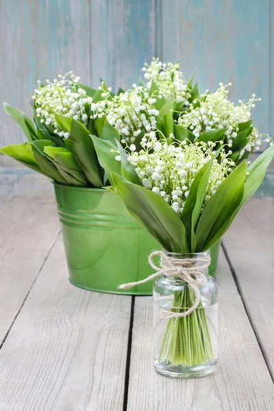 Lily of the valley flowers — стоковое фото