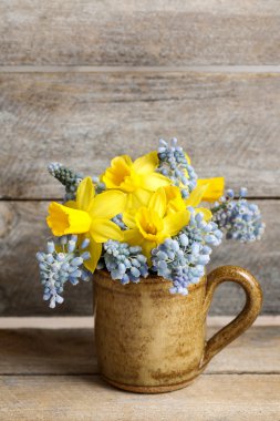 Nergis ve mavi muscari (üzüm sümbül buket)