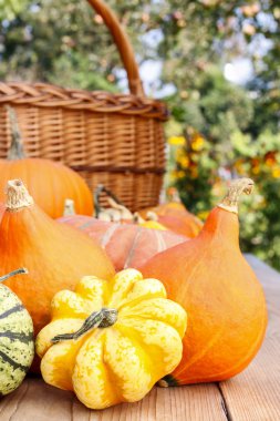 Kabaklar bahçedeki ahşap tablo