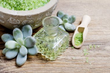 Spa set: Yeşil deniz tuzu, sıvı sabun ve etli bitkiler