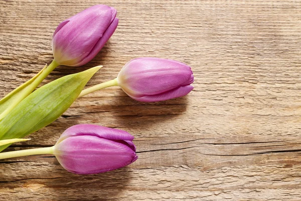 Fioletowe tulipany na drewno — Zdjęcie stockowe