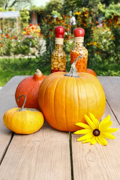 Kürbisse auf Holztisch im Garten — Stockfoto