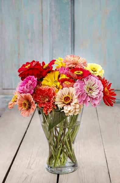 Buquê de flores zinnia — Fotografia de Stock