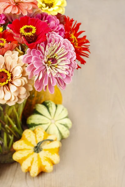 Strauß Zinnia-Blumen — Stockfoto