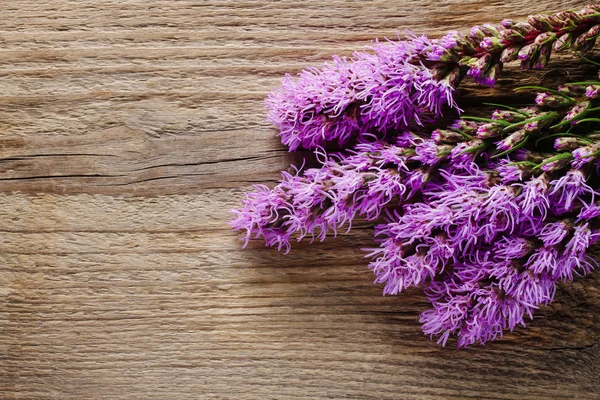 Liatris (stella ardente o piuma d'oca) fiori su backgroun di legno — Foto Stock