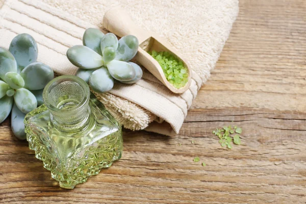 Spa set: green sea salt, liquid soap and succulent plants — Stock Photo, Image