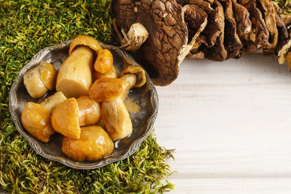 Маринованные грибы — стоковое фото