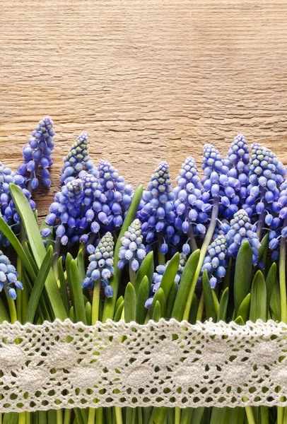 Fiori muscari blu (Giacinto d'uva) su legno — Foto Stock