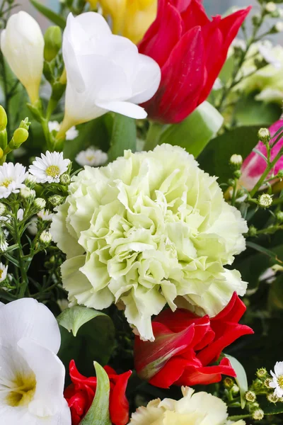 Ramo de freesias, claveles y tulipanes —  Fotos de Stock