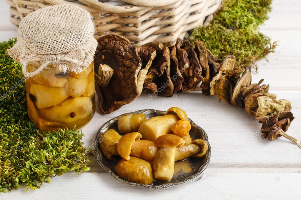 Грибы еда. Грибы в баночке. Малосольные грибы. Приготовление грибов. Полезные грибы.