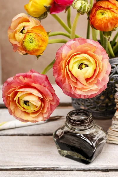 カラフルなペルシャ キンポウゲの花 (ラナンキュラス) — ストック写真