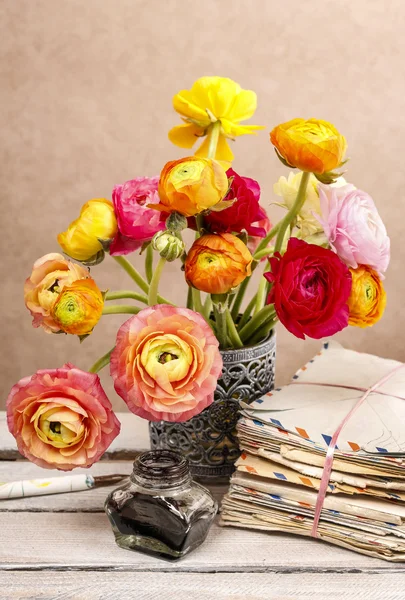 Colorful persian buttercup flowers (ranunculus) — Stock Photo, Image