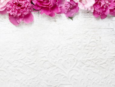 Beyaz Kağıt arka plan üzerinde çarpıcı pembe peonies