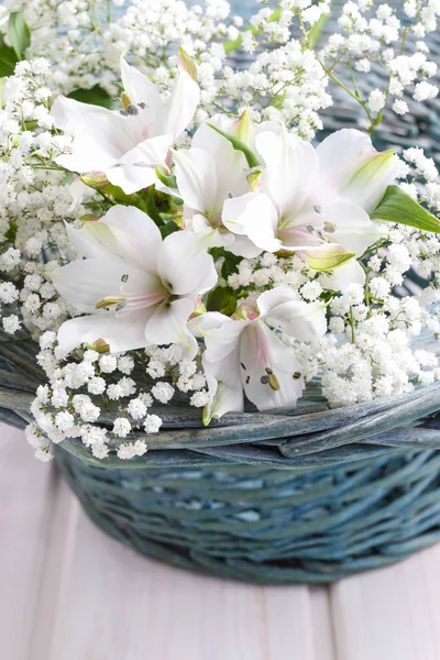 Flor de Alstroemeria — Fotografia de Stock