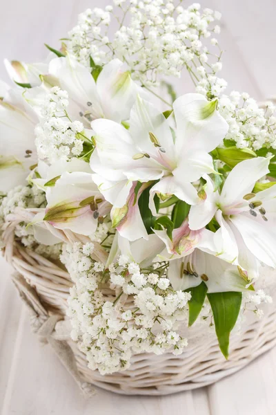 Alstroemeria flower — Stock Photo, Image