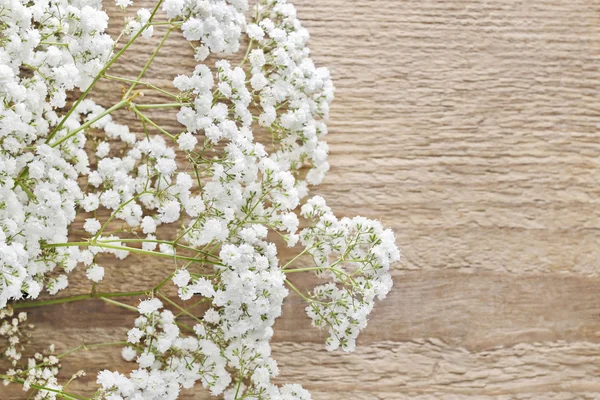 Aliento del bebé (gypsophila paniculata) en madera —  Fotos de Stock