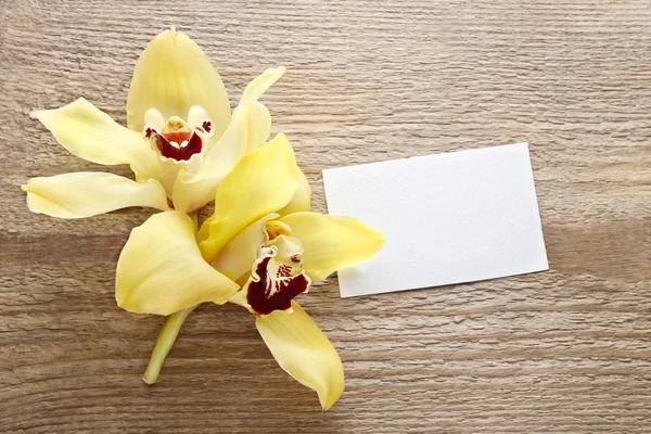 Bellissimi fiori di orchidea gialla su legno — Foto Stock