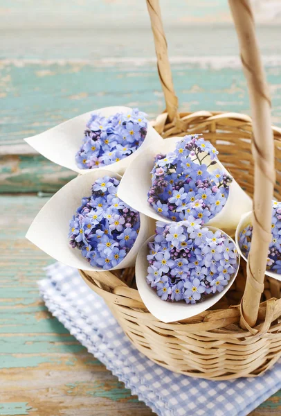 Cornete de hârtie cu flori de uitat-mă-nu (Myosotis ) — Fotografie, imagine de stoc