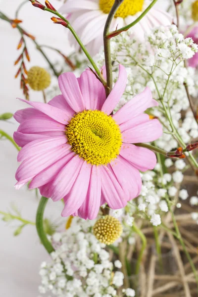 Ανθοσύνθεση με λουλούδια ροζ ζέρμπερες — Φωτογραφία Αρχείου