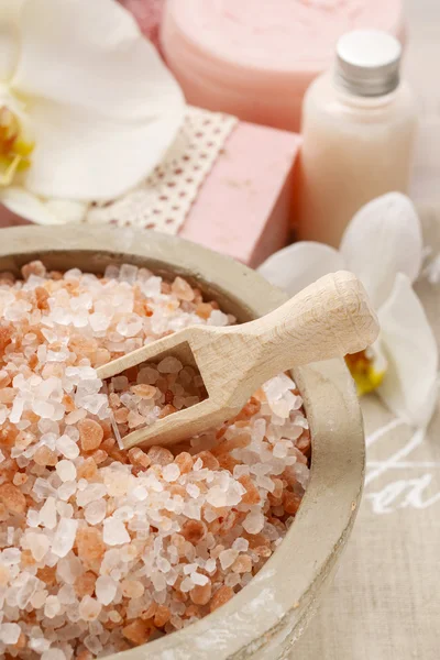 Bowl of pink sea salt — Stock Photo, Image