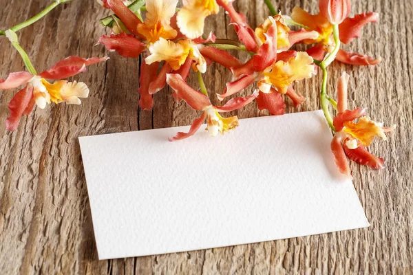Orangefarbene Orchideenblumen und leere Papierkarte — Stockfoto