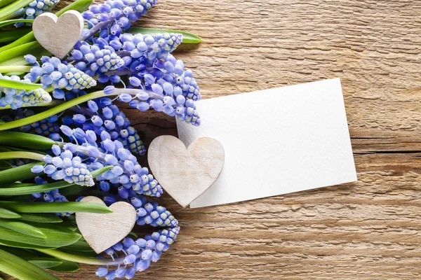 Flores de muscari azul (Jacinto de uva) sobre fondo de madera , —  Fotos de Stock