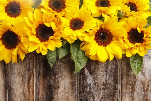 Sunflowers on wooden background — Stock Photo, Image