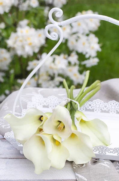 Ramo de flores de cala blanca (Zantedeschia) en el jardín —  Fotos de Stock