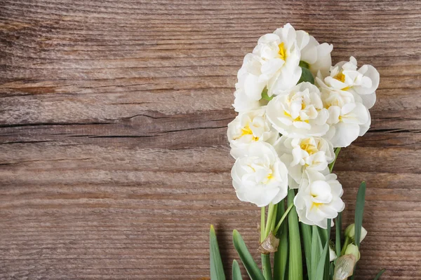 White narcissus flowers on wooden background — Stock Photo, Image