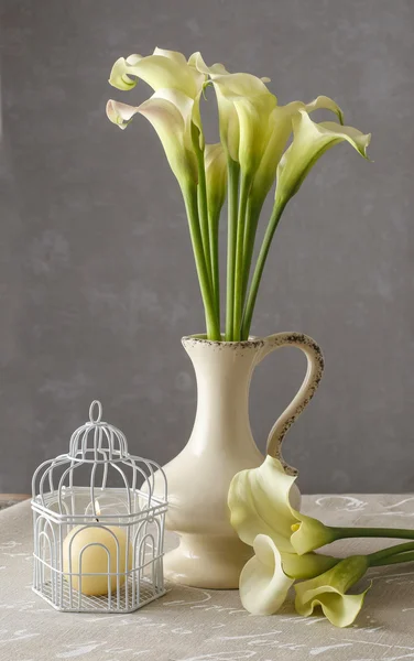 Bukett vit calla blommor (Zantedeschia) — Stockfoto