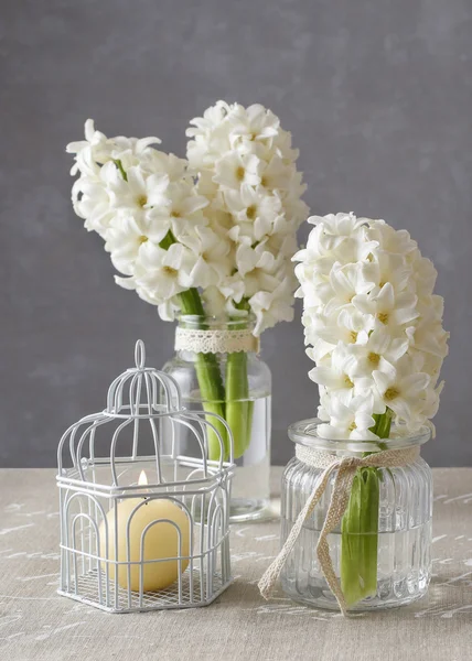 Hiacynt kwiaty białe w słoikach — Zdjęcie stockowe