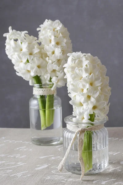 Flores de jacinto blanco en frascos de vidrio — Foto de Stock