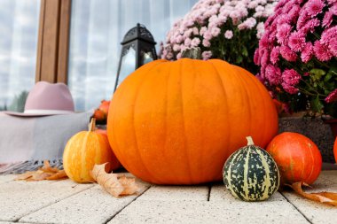 Beautiful home decoration with pumpkins, chrysanthemum flowers and candles. Autumn decor