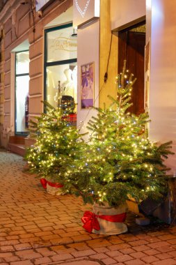 NOWY TARG, POLAND - 28 Aralık 2024: Nowy Targ, Polonya 'da güzel, parlak Noel aydınlatmaları. Turistler için tatil yeri