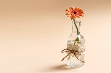 Cam şişede Gerbera çiçeği olan basit bir dekorasyon. Parti dekoru