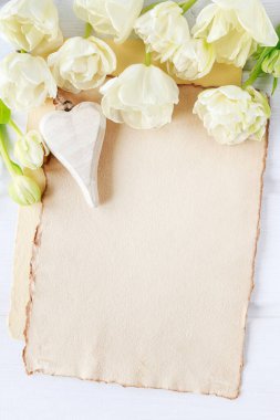 Kağıt zemin üzerinde beyaz laleler, kopyalama alanı. Grafiksel kaynaklar