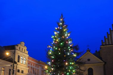 KRAKOW, POLAND - 4 HAZİRAN 2025: Şehrin tam ortasına kurulmuş büyük bir Noel ağacı. Turistler için tatil yeri
