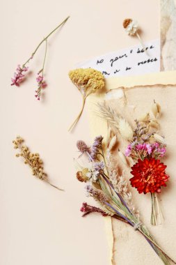 Kurutulmuş bitkiler, dekoratif kağıtlar ve el yazısıyla yazılmış bir mektup. Grafiksel kaynaklar