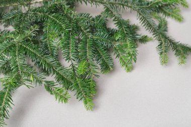 Kadın, köknar dalları, tarçın çubukları, kırmızı elmalar ve konilerle klasik Noel çelengi yapmayı gösteriyor. Adım adım, öğretici.