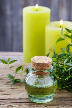 Myrtus (Mersin) uçucu yağ