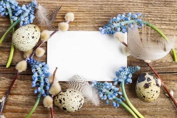青色のムスカリの花 (ブドウ ヒヤシンス) とウズラの卵が木の上 — ストック写真