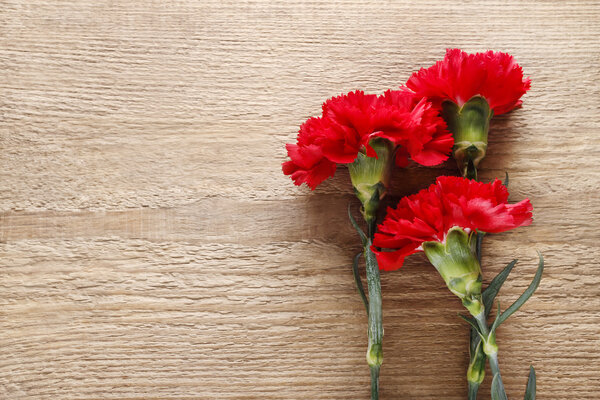 Red carnations on wooden background,