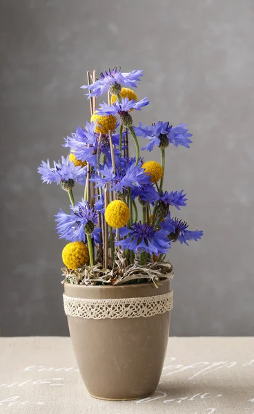 Cornflowers와 craspedias 꽃의 배열 — 스톡 사진