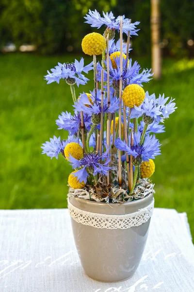 Blomsterarrangemang med blåklint och craspedias i trädgården — Stockfoto