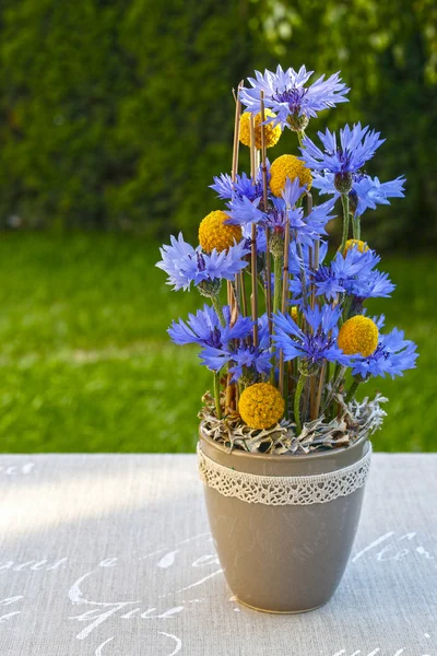 Arreglo floral con acianos y craspedias en el jardín —  Fotos de Stock