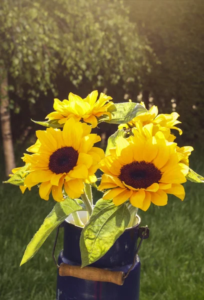 Bouquet of sunflowers in the garden. — Stock Photo, Image