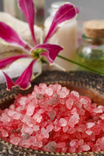 Bowl of red sea salt — Stock Photo, Image