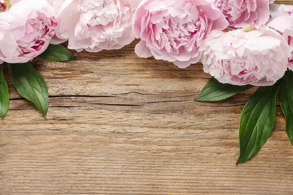 Stunning pink peonies on white rustic wooden background. — Stock Photo, Image