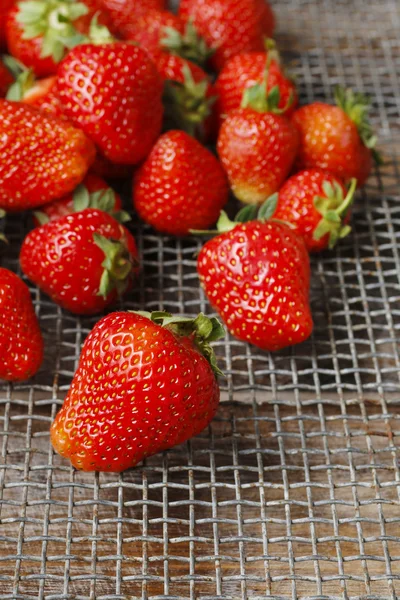 成熟的草莓。健康的食物 — 图库照片